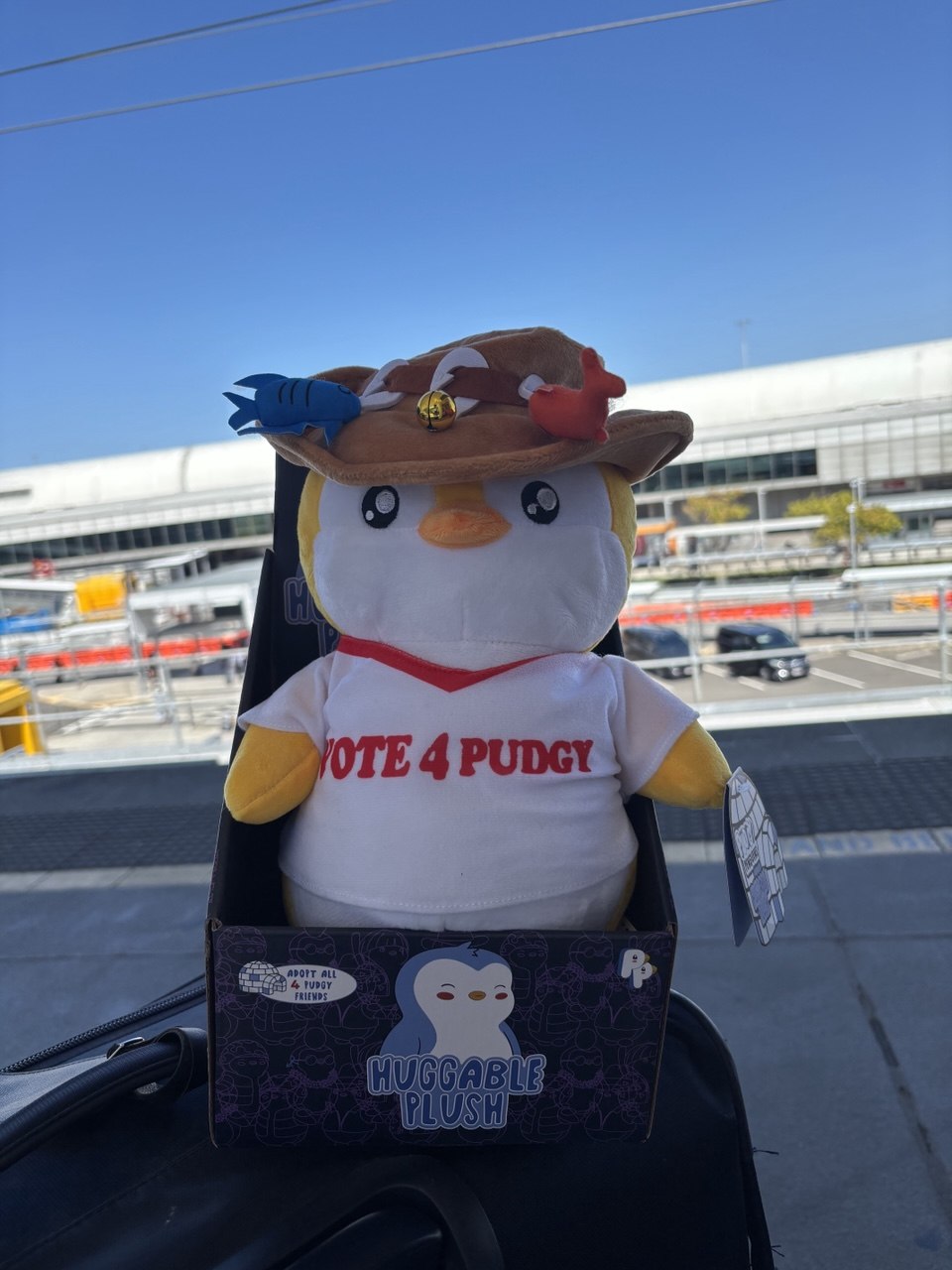 Vote 4 Pudgy plush at the airport